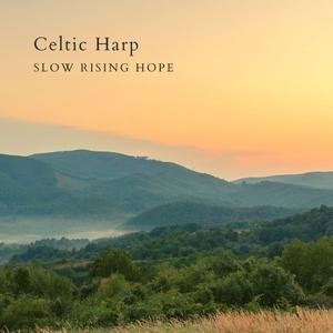 天天干胖女人色网
