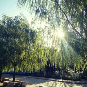 天天干胖女人色网
