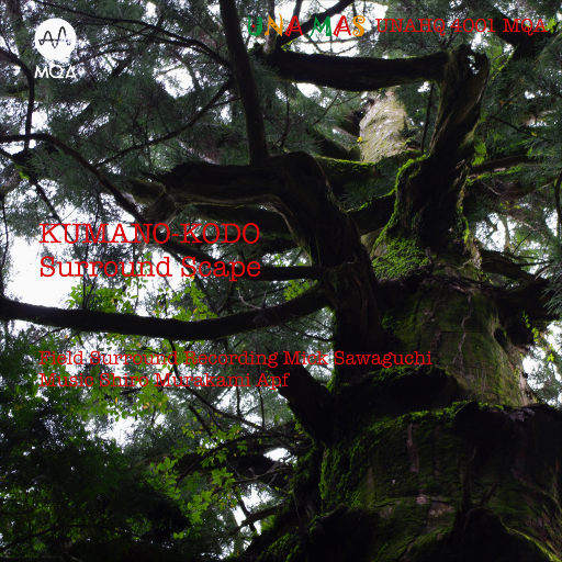 天天干胖女人色网
